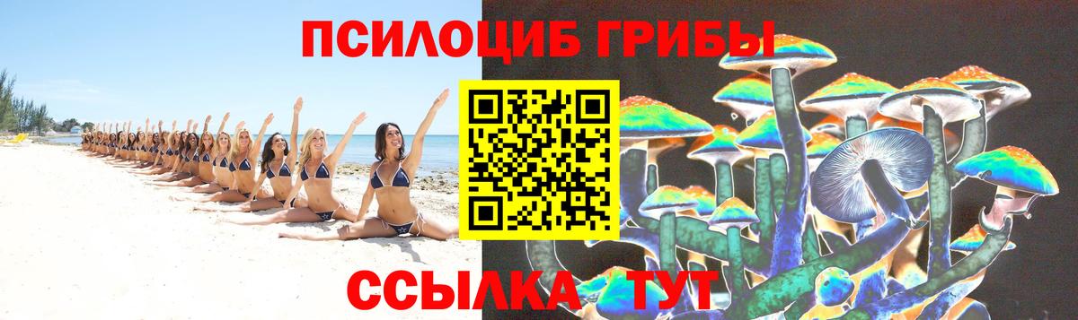 Красногорск  Галлюциногенные грибы Psilocybine cubensis  Вход с VPN 